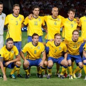 Sweden National Football Team Euro 2012